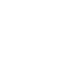 Tilpasser sig benets form